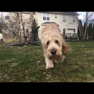 Meet your Posher, Julia